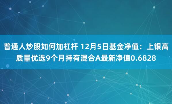 普通人炒股如何加杠杆 12月5日基金净值：上银高质量优选9个月持有混合A最新净值0.6828