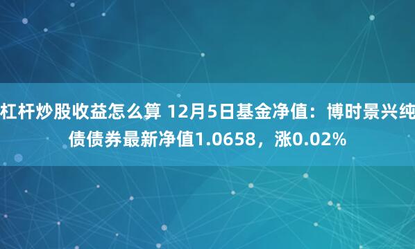 杠杆炒股收益怎么算 12月5日基金净值：博时景兴纯债债券最新净值1.0658，涨0.02%