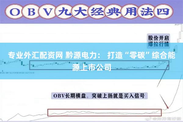 专业外汇配资网 黔源电力： 打造“零碳”综合能源上市公司