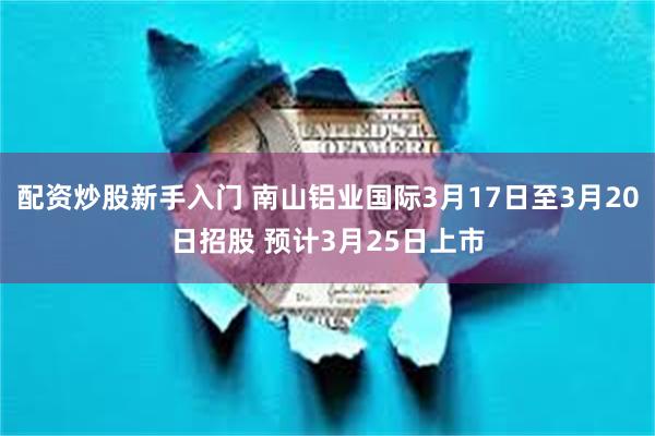 配资炒股新手入门 南山铝业国际3月17日至3月20日招股 预计3月25日上市