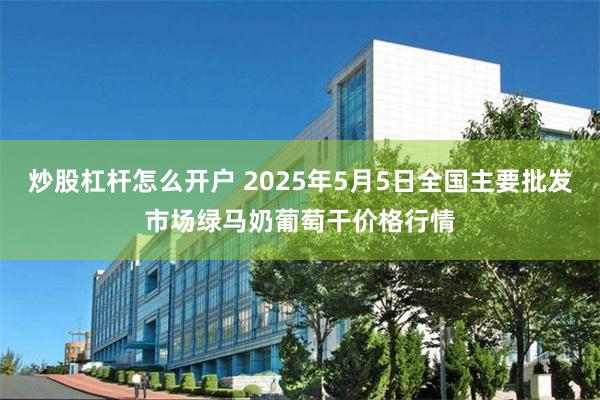炒股杠杆怎么开户 2025年5月5日全国主要批发市场绿马奶葡萄干价格行情
