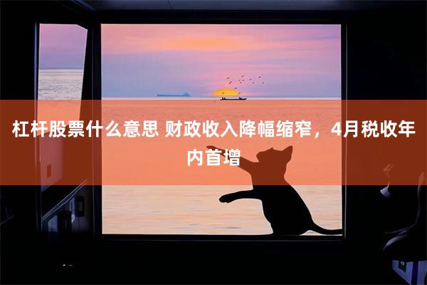 杠杆股票什么意思 财政收入降幅缩窄，4月税收年内首增