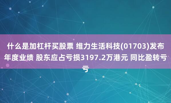 什么是加杠杆买股票 维力生活科技(01703)发布年度业绩 股东应占亏损3197.2万港元 同比盈转亏
