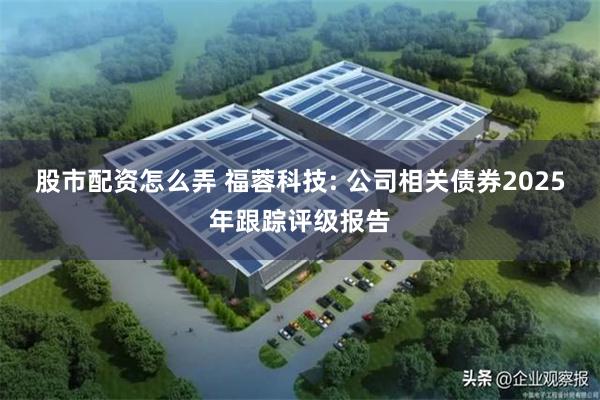 股市配资怎么弄 福蓉科技: 公司相关债券2025年跟踪评级报告