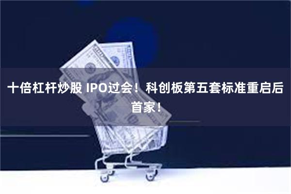 十倍杠杆炒股 IPO过会！科创板第五套标准重启后首家！