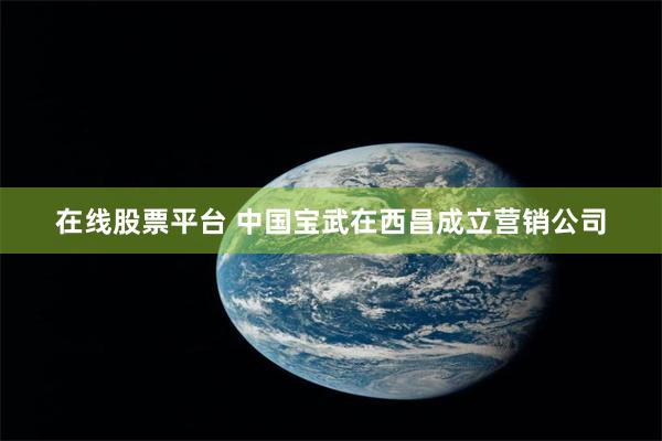 在线股票平台 中国宝武在西昌成立营销公司