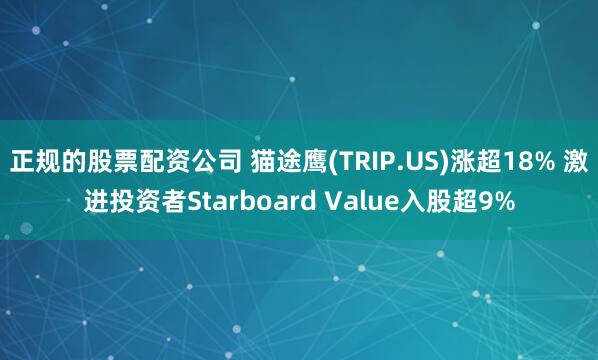 正规的股票配资公司 猫途鹰(TRIP.US)涨超18% 激进投资者Starboard Value入股超9%