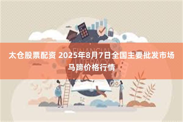 太仓股票配资 2025年8月7日全国主要批发市场马蹄价格行情