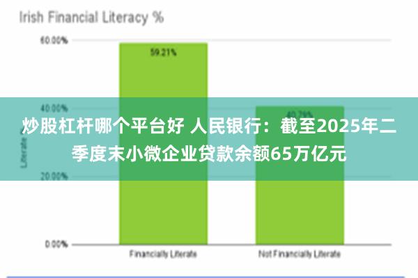炒股杠杆哪个平台好 人民银行：截至2025年二季度末小微企业贷款余额65万亿元