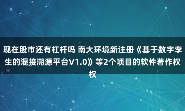 现在股市还有杠杆吗 南大环境新注册《基于数字孪生的混接溯源平台V1.0》等2个项目的软件著作权
