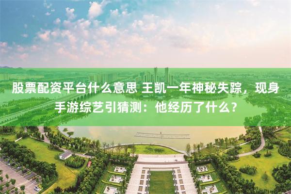 股票配资平台什么意思 王凯一年神秘失踪，现身手游综艺引猜测：他经历了什么？