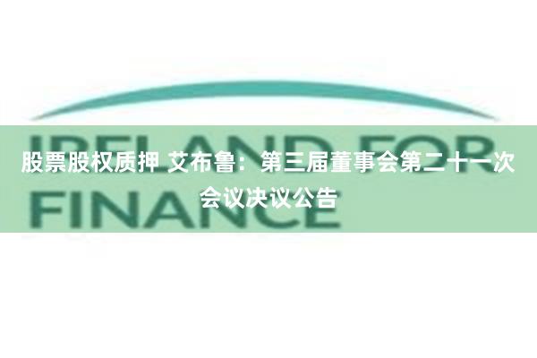 股票股权质押 艾布鲁：第三届董事会第二十一次会议决议公告